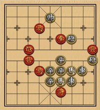 D．花店老板－难度低：第205局