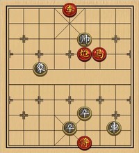 A．健身房教练－难度低：第216局