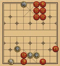 29金莲花