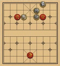 马兵类(08)