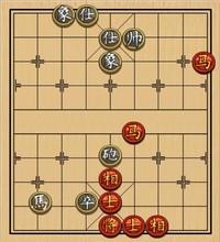 双马类(04)