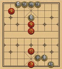 双车马类(43)
