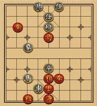 双车马类(19)