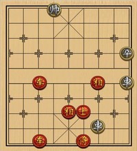 双车类(07)