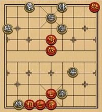 双炮马类(25)