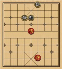 单马类(18)