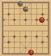 单马类(16)