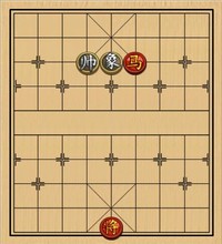 单马类(05)