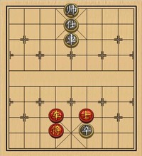 第511局 单车肘士